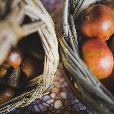 Barbagia Farm stay Alghero